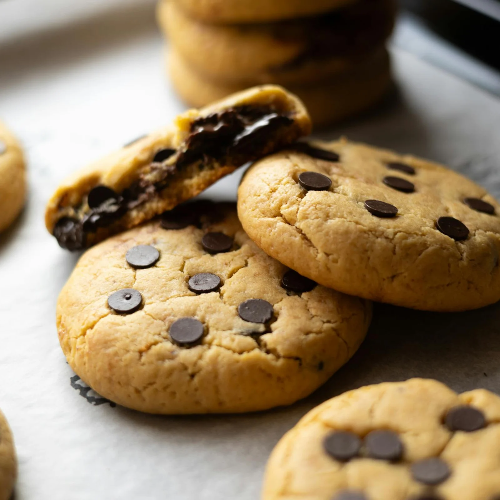 Chocolate Chip Cookie